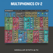 Multiphonics CV-2 Modular Synth.