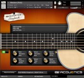 Acou6tics Guitars DL