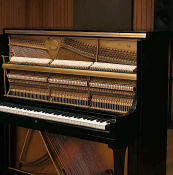 Ivory 3 LE Modern Upright